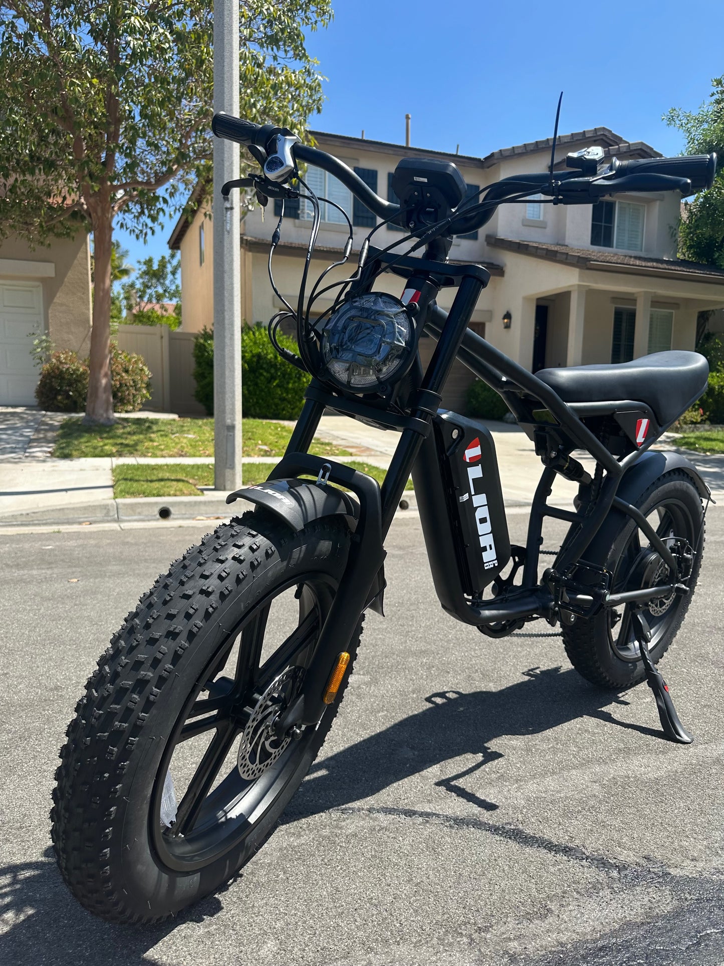 LIOR PRO Long Range High Performance Electric Bike – Fat Tire, 1500W High Power